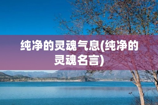 纯净的灵魂气息(纯净的灵魂名言)