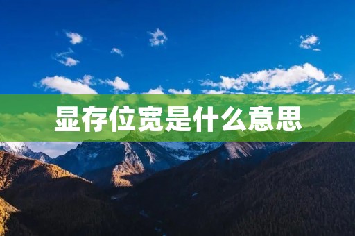 显存位宽是什么意思 显存位宽是什么意思