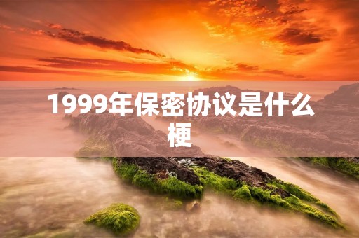 1999年保密协议是什么梗 1999年保密协议是什么梗