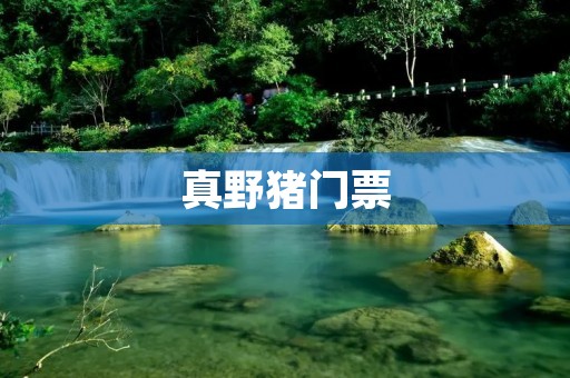 真野猪门票：探秘野生动物世界的奇妙之旅