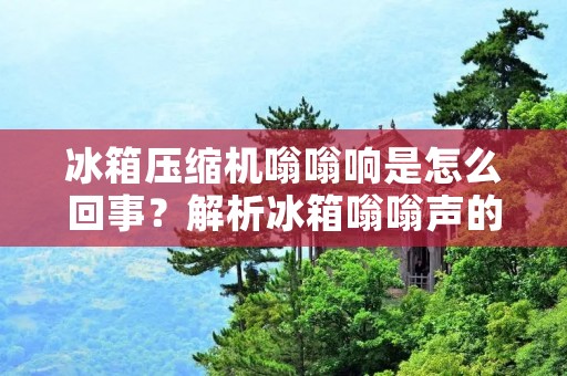 冰箱压缩机嗡嗡响是怎么回事？解析冰箱嗡嗡声的原因与解决方法