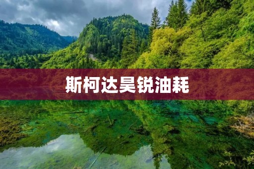 斯柯达昊锐油耗:如何降低燃油消耗并提升燃油经济性 斯柯达昊锐油耗:如何降低燃油消耗并提升燃油经济性
