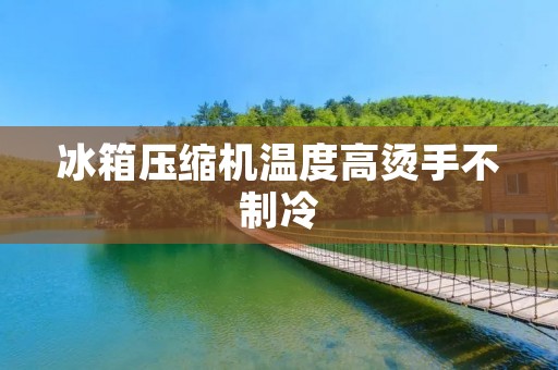 冰箱压缩机温度高烫手不制冷:可能的原因与解决方法 冰箱压缩机温度高烫手不制冷:可能的原因与解决方法