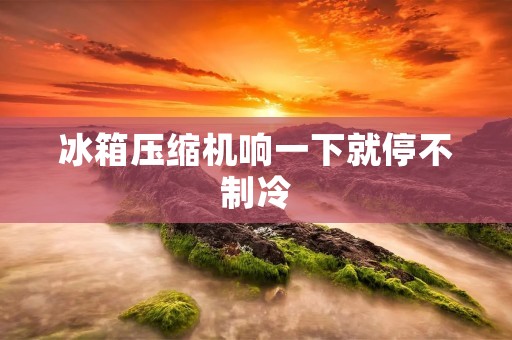 冰箱压缩机响一下就停不制冷：故障原因与解决方法详解