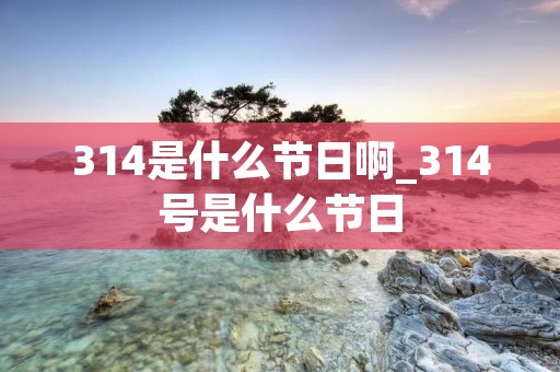 314是什么节日啊_314号是什么节日