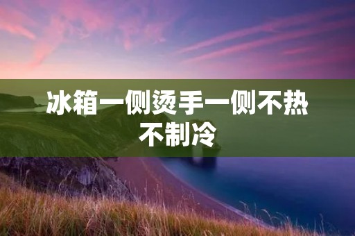 冰箱一侧烫手一侧不热不制冷:原因与解决方案揭秘 冰箱一侧烫手一侧不热不制冷:原因与解决方案揭秘