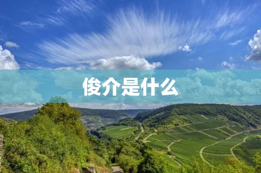 俊介是什么 俊介是什么