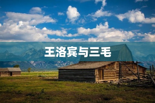 王洛宾与三毛：一个跨越国界的爱情故事