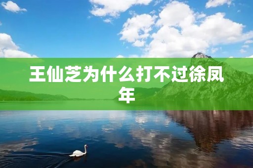 王仙芝为什么打不过徐凤年 王仙芝为什么打不过徐凤年