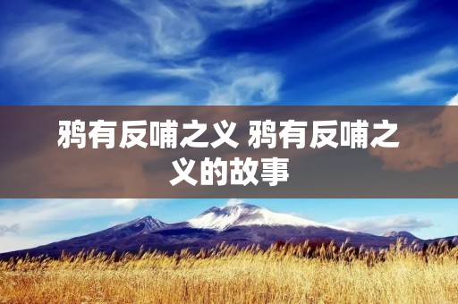 鸦有反哺之义 鸦有反哺之义的故事
