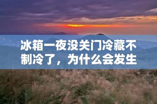 冰箱一夜没关门冷藏不制冷了,为什么会发生这种情况? 冰箱一夜没关门冷藏不制冷了,为什么会发生这种情况?