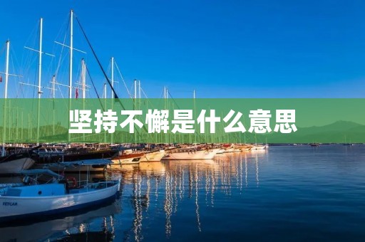 坚持不懈是什么意思