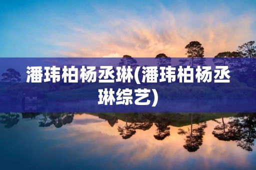 潘玮柏杨丞琳(潘玮柏杨丞琳综艺) 潘玮柏杨丞琳(潘玮柏杨丞琳综艺)