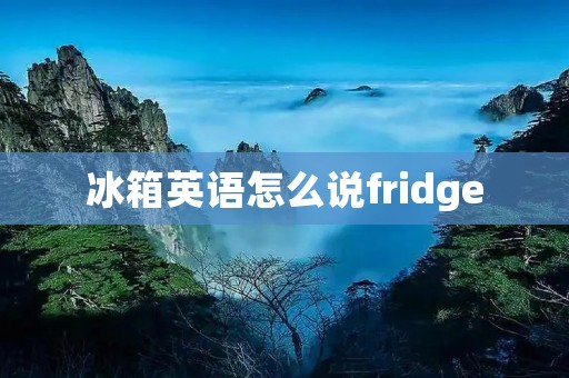 冰箱英语怎么说fridge：详细描述
