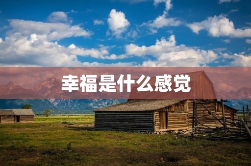 幸福是什么感觉