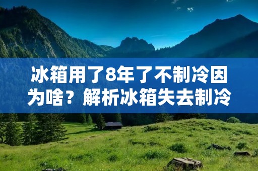 冰箱用了8年了不制冷因为啥?解析冰箱失去制冷功能的可能原因 冰箱用了8年了不制冷因为啥?解析冰箱失去制冷功能的可能原因