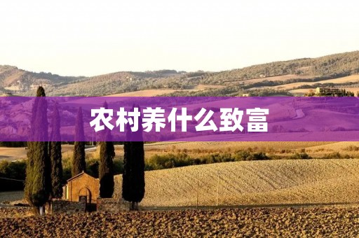 农村养什么致富 农村养什么致富