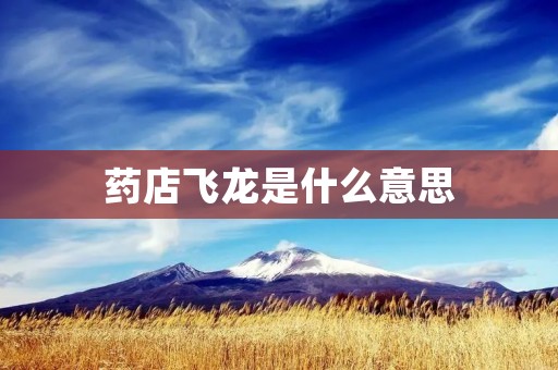 药店飞龙是什么意思