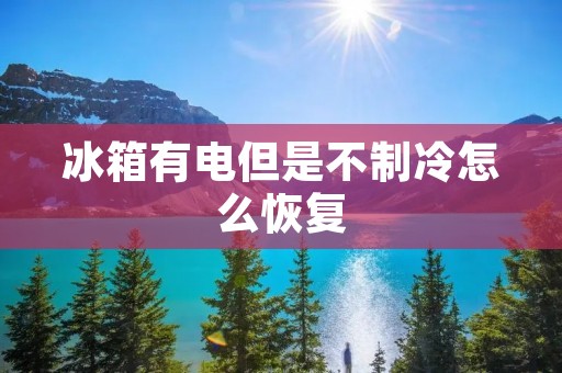 冰箱有电但是不制冷怎么恢复