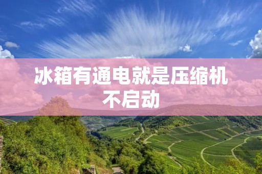 冰箱有通电就是压缩机不启动:可能的原因和解决方法 冰箱有通电就是压缩机不启动:可能的原因和解决方法