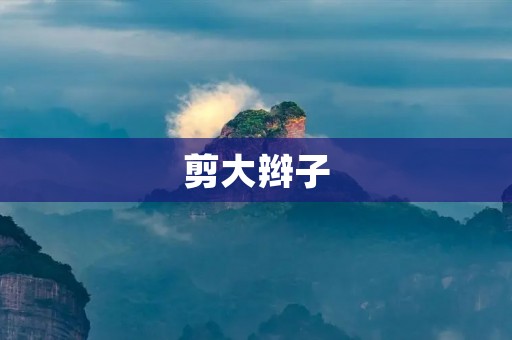 剪大辫子:为什么越来越多的年轻人选择剪掉长发? 剪大辫子:为什么越来越多的年轻人选择剪掉长发?