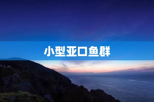 小型亚口鱼群:生命之舞在水中绽放 小型亚口鱼群:生命之舞在水中绽放
