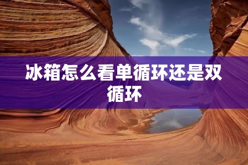 冰箱怎么看单循环还是双循环 冰箱怎么看单循环还是双循环