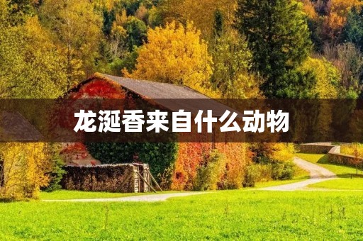 龙涎香来自什么动物