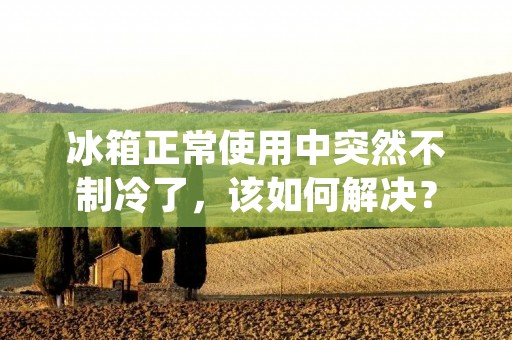 冰箱正常使用中突然不制冷了，该如何解决？