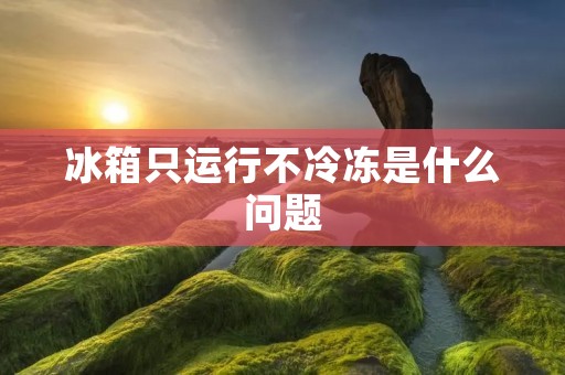 冰箱只运行不冷冻是什么问题 冰箱只运行不冷冻是什么问题
