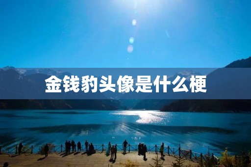 金钱豹头像是什么梗