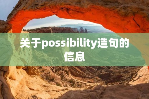 关于possibility造句的信息