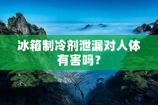 冰箱制冷剂泄漏对人体有害吗？