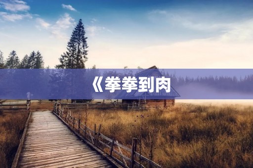 《拳拳到肉：格斗类电影的狂热与魅力》