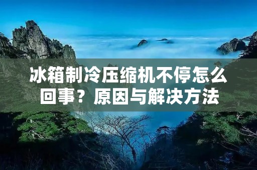 冰箱制冷压缩机不停怎么回事？原因与解决方法