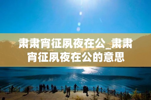 肃肃宵征夙夜在公_肃肃宵征夙夜在公的意思 肃肃宵征夙夜在公_肃肃宵征夙夜在公的意思