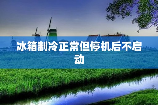 冰箱制冷正常但停机后不启动:故障分析与解决方法 冰箱制冷正常但停机后不启动:故障分析与解决方法