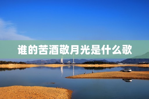 谁的苦酒敬月光是什么歌