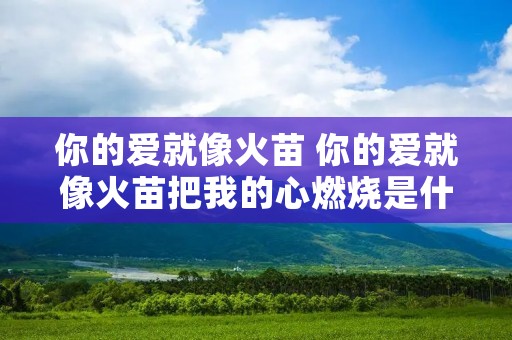 你的爱就像火苗 你的爱就像火苗把我的心燃烧是什么歌
