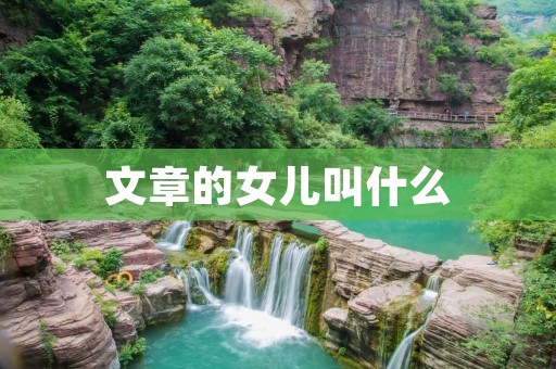 文章的女儿叫什么：探寻文字之子的名字