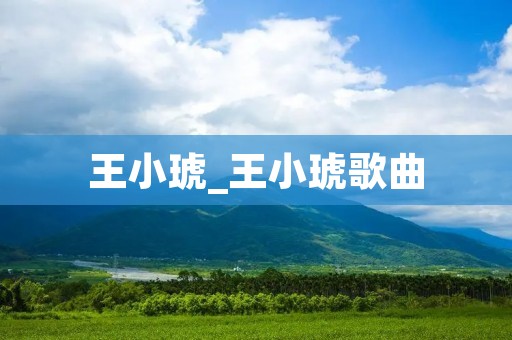 王小琥_王小琥歌曲