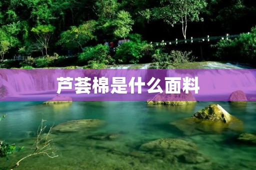 芦荟棉是什么面料 芦荟棉是什么面料