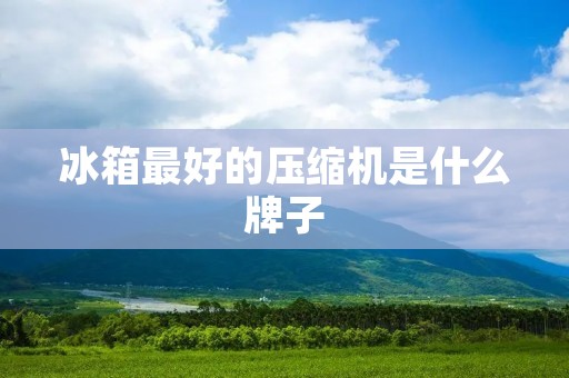 冰箱最好的压缩机是什么牌子 冰箱最好的压缩机是什么牌子