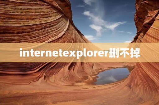 internetexplorer删不掉 internetexplorer删不掉