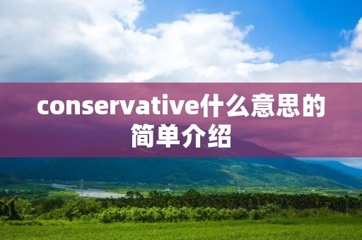 conservative什么意思的简单介绍
