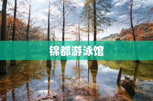 锦都游泳馆:畅享水中乐趣的绝佳选择 锦都游泳馆:畅享水中乐趣的绝佳选择