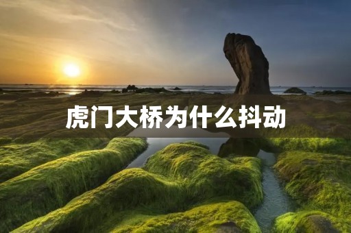 虎门大桥为什么抖动 虎门大桥为什么抖动