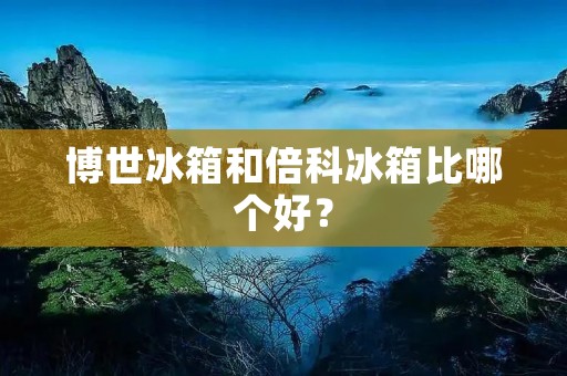 博世冰箱和倍科冰箱比哪个好? 博世冰箱和倍科冰箱比哪个好?