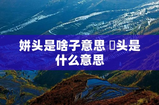 姘头是啥子意思 㛁头是什么意思