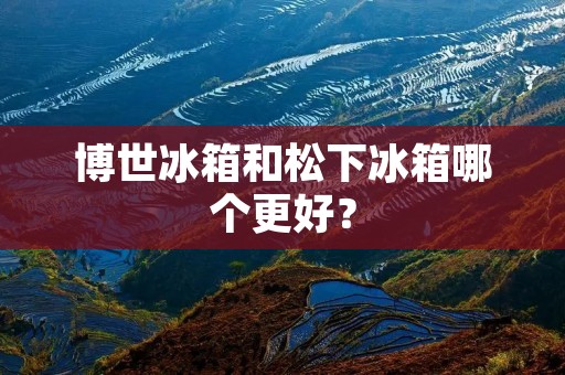 博世冰箱和松下冰箱哪个更好? 博世冰箱和松下冰箱哪个更好?